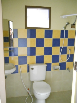 เปิดเช้า ตึงแถว 4x12 ม. 3 ชั้น ถนน วัวลาย เชียงใหม่ ด้วยเนื่อที่ รวม 91 ตารางวา