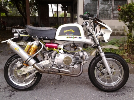 ขาย+แลก กอลิล่าแต่งเต็ม เล่มทะเบียนโอน+ภาษีเต็ม ด่วนๆๆ