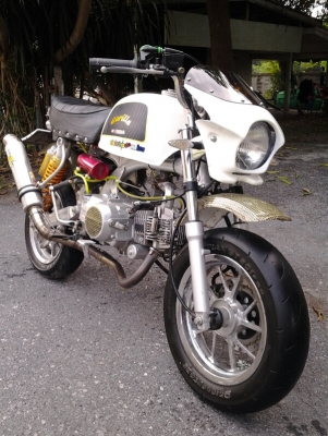 ขาย+แลก กอลิล่าแต่งเต็ม เล่มทะเบียนโอน+ภาษีเต็ม ด่วนๆๆ