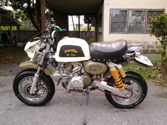 ขาย+แลก กอลิล่าแต่งเต็ม เล่มทะเบียนโอน+ภาษีเต็ม ด่วนๆๆ