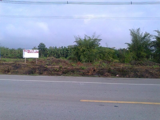 ขายด่วน..ที่ดินสวย 15 ไร่ อยู่จังหวัดลำปาง ติดถนนบายพาส ลำปาง-เชียงใหม่ 15-00-00 ไร่ หน้ากว้างติดถนนถึง 7 เสาไฟฟ้า.