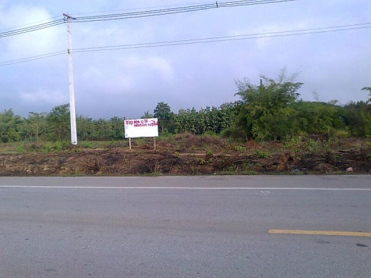 ขายด่วน..ที่ดินสวย 15 ไร่ อยู่จังหวัดลำปาง ติดถนนบายพาส ลำปาง-เชียงใหม่ 15-00-00 ไร่ หน้ากว้างติดถนนถึง 7 เสาไฟฟ้า.