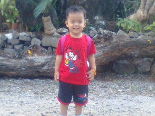 ขายที่ดิน 8 ไร่ 3 งาน มีโฉนด