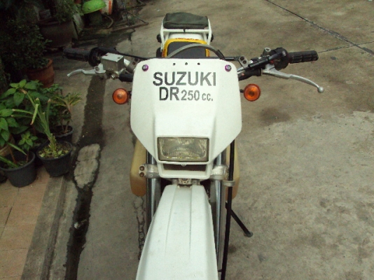 ขาย suzuki DR 250 cc ราคา 36000