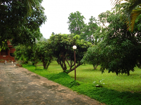 ขออนุญาติ พี่เสือ ขายบ้านพร้อมที่ดิน 1ไร3งาน35ตารางวา พร้อมเข้าอยู่ได้เลย