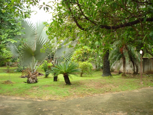 ขออนุญาติ พี่เสือ ขายบ้านพร้อมที่ดิน 1ไร3งาน35ตารางวา พร้อมเข้าอยู่ได้เลย