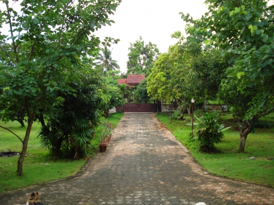 ขออนุญาติ พี่เสือ ขายบ้านพร้อมที่ดิน 1ไร3งาน35ตารางวา พร้อมเข้าอยู่ได้เลย