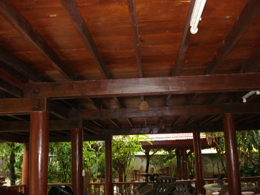 ขออนุญาติ พี่เสือ ขายบ้านพร้อมที่ดิน 1ไร3งาน35ตารางวา พร้อมเข้าอยู่ได้เลย