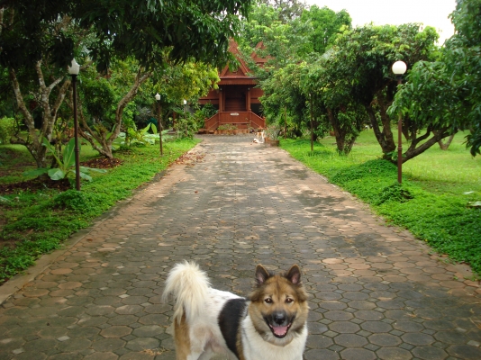 ขออนุญาติ พี่เสือ ขายบ้านพร้อมที่ดิน 1ไร3งาน35ตารางวา พร้อมเข้าอยู่ได้เลย