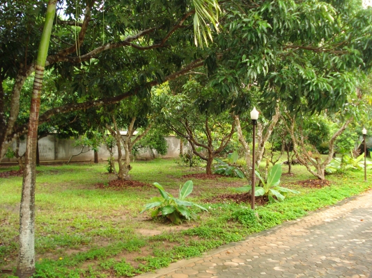 ขออนุญาติ พี่เสือ ขายบ้านพร้อมที่ดิน 1ไร3งาน35ตารางวา พร้อมเข้าอยู่ได้เลย