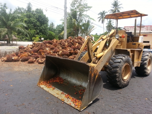 KOMATSU 507 ไม่มีเล่มทะเบียน  ยางใหม่