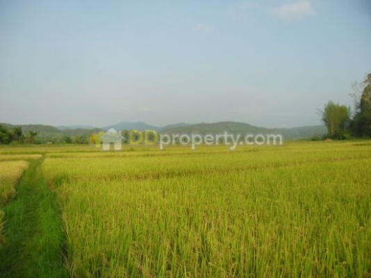 รับจำนอง ฝาก ซื้อ - ขายที่ดิน รับจำนอง ฝาก ซื้อ - ขายที่ดิน
