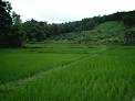 รับจำนอง ฝาก ซื้อ - ขายที่ดิน รับจำนอง ฝาก ซื้อ - ขายที่ดิน