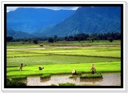รับจำนอง ฝาก ซื้อ - ขายที่ดิน รับจำนอง ฝาก ซื้อ - ขายที่ดิน