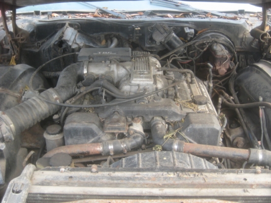 ขาย.fordthunderbird 1972