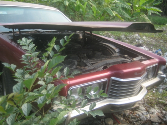 ขาย.fordthunderbird 1972