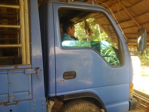 ขาย NPR  66PX5 T 710XXX  120 แรงม้า รถสวย เครื่องดี คัสซีเยี่ยม พวงมาลัยพาวเวอร์ มีระบบแอร์ ไม่ต้องซ่อม