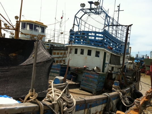 ขายเรือลากและเครื่องฟรีสครับ