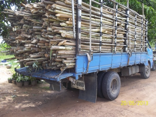 ขาย6ล้อกลางอิซูสุ เครื่อง100แรงทะเบียนเอกสารพร้อมโอน