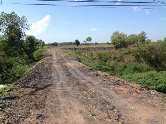 ขายที่ถมแล้ว