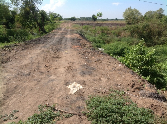 ขายที่ถมแล้ว ขายที่ถมแล้ว