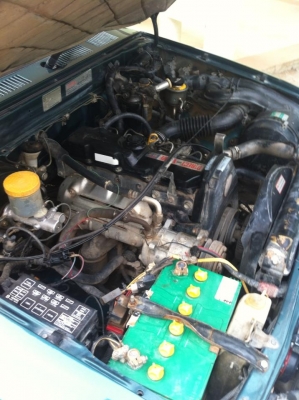 ขายไมตี้