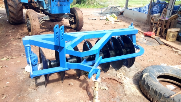 ขายหางเจ็ดสวยๆ โครงใหญ่ ใบเต็ม