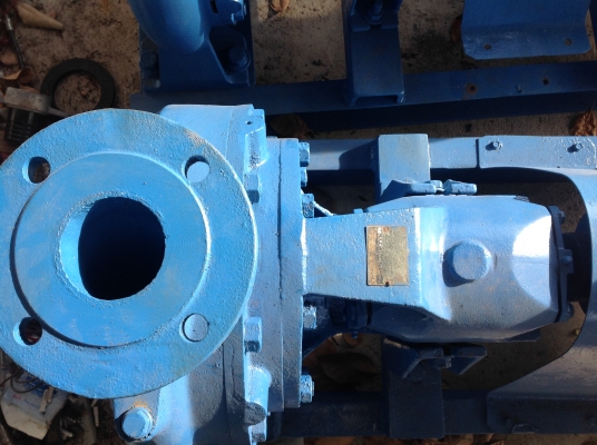 ขายปั้มหอยโข่ง calpeda