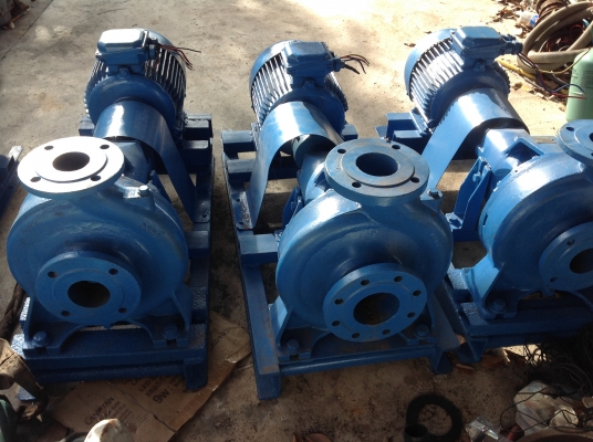 ขายปั้มหอยโข่ง calpeda