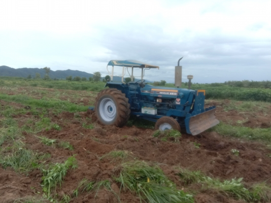 ขาย FORD77.T3สัญญาซื้อขายคัฟรถขายได้สองหางนะคัฟ รถเครื่องดีปั้มดีเลยพร้อมใช้งานสนใจ081-0118032ต้นบ้านไร่โทรมาสอบถามกันได้ส่งฟรีคัฟ ขาย FORD77.T3สัญญาซื้อขายคัฟรถขายได้สองหางนะคัฟ รถเครื่องดีปั้มดีเลยพร้อมใช้งานสนใจ081-0118032ต้นบ้านไร่โทรมาสอบถามกันได้ส่งฟรีคัฟ