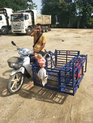 ขาย เวฟ125R พร้อมพ่วงข้าง พร้อมใช้งาน ขาย เวฟ125R พร้อมพ่วงข้าง พร้อมใช้งาน