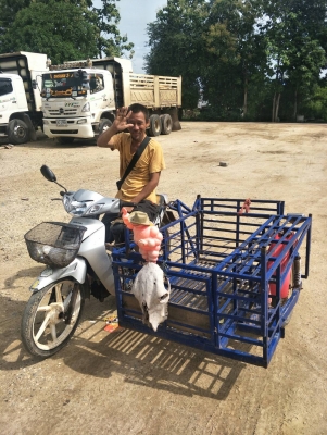 ขาย เวฟ125R พร้อมพ่วงข้าง พร้อมใช้งาน ขาย เวฟ125R พร้อมพ่วงข้าง พร้อมใช้งาน