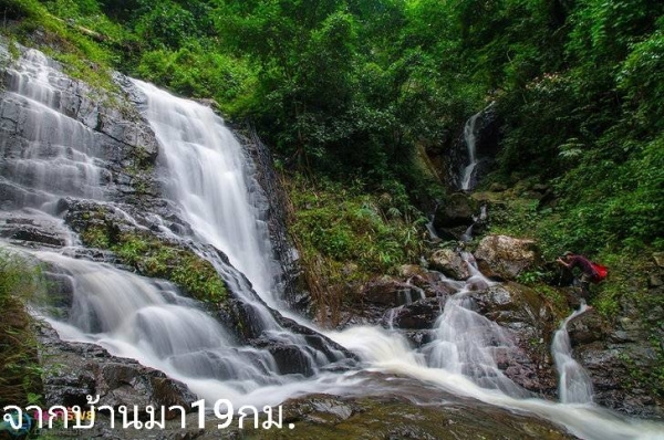 ขายบ้านพร้อมที่ดินเพชรบูรณ์ มีโฉนดครุฑแดง ติดอุทยานแห่งชาติตาดหมอก ติดทางหลวง ไฟฟ้าประปาพร้อมเข้าอยู่ได้เลย ขาย850,000บาท