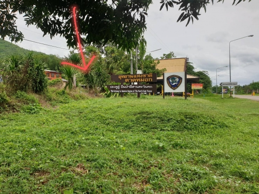 ขายบ้านพร้อมที่ดินเพชรบูรณ์ มีโฉนดครุฑแดง ติดอุทยานแห่งชาติตาดหมอก ติดทางหลวง ไฟฟ้าประปาพร้อมเข้าอยู่ได้เลย ขาย850,000บาท