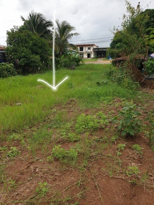 ขายบ้านพร้อมที่ดินเพชรบูรณ์ มีโฉนดครุฑแดง ติดอุทยานแห่งชาติตาดหมอก ติดทางหลวง ไฟฟ้าประปาพร้อมเข้าอยู่ได้เลย ขาย850,000บาท