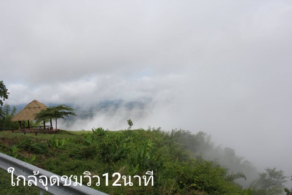 ขายบ้านพร้อมที่ดินเพชรบูรณ์ มีโฉนดครุฑแดง ติดอุทยานแห่งชาติตาดหมอก ติดทางหลวง ไฟฟ้าประปาพร้อมเข้าอยู่ได้เลย ขาย850,000บาท