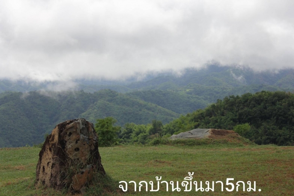 ขายบ้านพร้อมที่ดินเพชรบูรณ์ มีโฉนดครุฑแดง ติดอุทยานแห่งชาติตาดหมอก ติดทางหลวง ไฟฟ้าประปาพร้อมเข้าอยู่ได้เลย ขาย850,000บาท