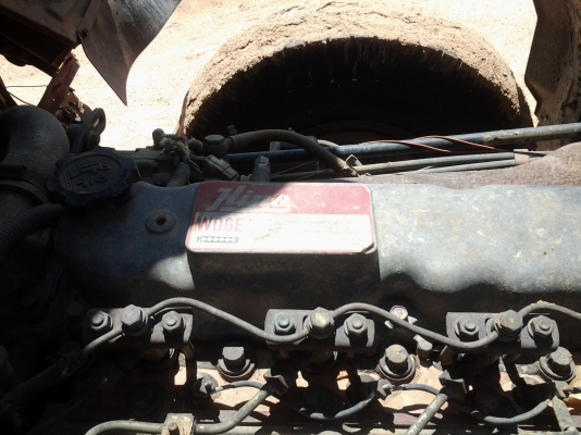 ขายhino  รถนอกแท้ หกล้อดั้มเกษตร สภาพสวย