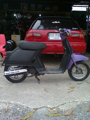 ป๊อป HONDA C 50 6800 0806260417