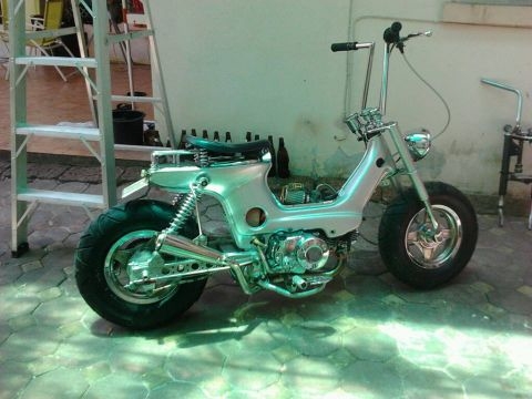 ขายชาลี ด่วนๆๆๆๆๆ