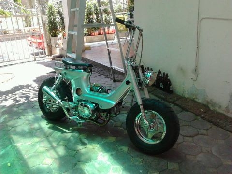 ขายชาลี ด่วนๆๆๆๆๆ