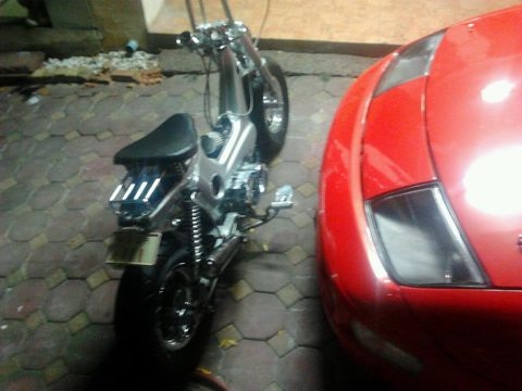 ขายชาลี ด่วนๆๆๆๆๆ