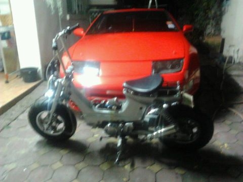 ขายชาลี ด่วนๆๆๆๆๆ