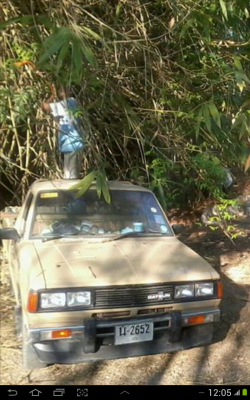 JOE CLASSICขายกันชนหน้า720 เป็นกันชนแต่งงานเก่าเก็บ ]พร้อมลิ้นสนใจโทรสอบฤามได้ได้มาแค่อันเดียวหมดแล้วหมดเลย..