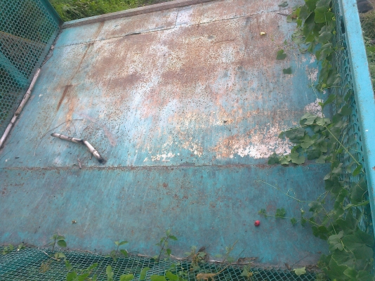 ขายบา บรรทุกอ้อยตัด