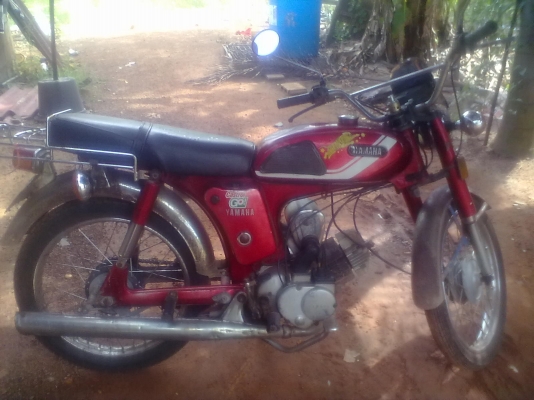 ขาย YAMAHA yl2