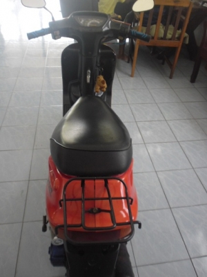 ป๊อป แดง(5900ส่งฟรี)