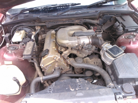 BMW318IA 1998 รุ่นทอปสุด รถมือเดียวห้างแท้ วิ่งแค่14xxxx เบรค ABS แอรแบ็คคู่