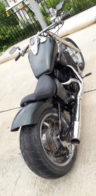 steed 600cc