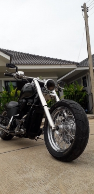 steed 600cc